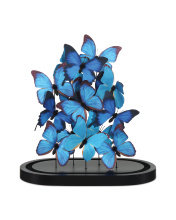 Images Shw1200-0897_4.jpg